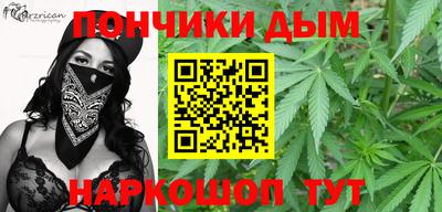 кокс Донской