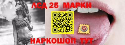 кокс Донской