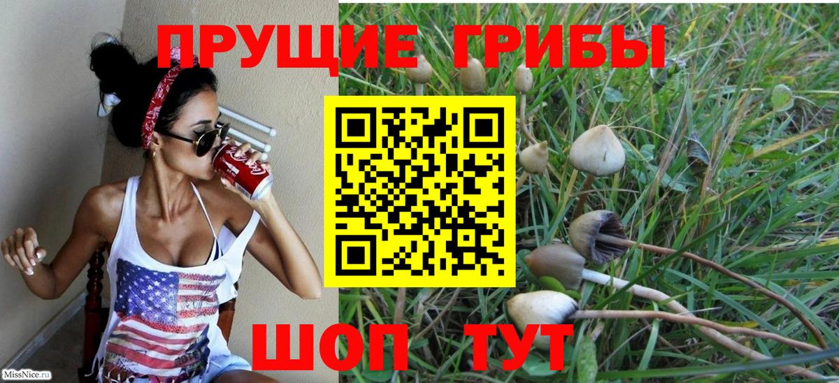 Псилоцибиновые грибы ЛСД Стрежевой