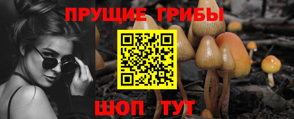 Галлюциногенные грибы Psilocybine cubensis  Вход с VPN  Галлюциногенные грибы GOLDEN TEACHER  где можно купить   Стрежевой 